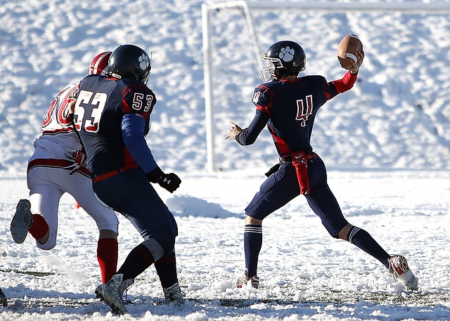 在整体阵容 在整体阵容