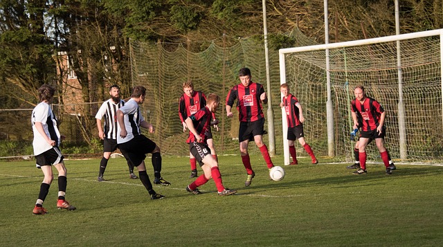 的人员安排 的人员安排