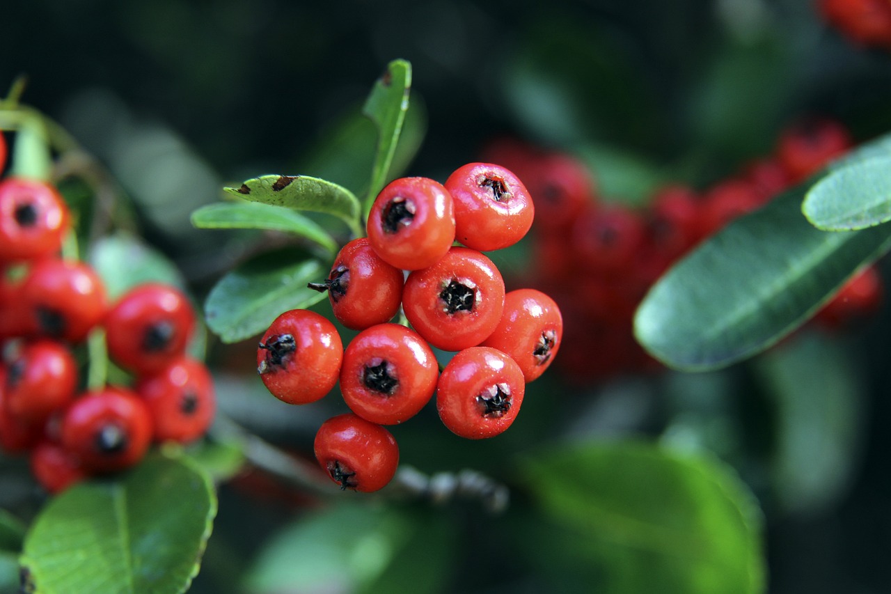 关键因素 关键因素