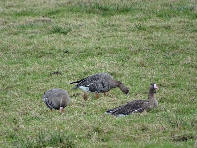 举的关键 举的关键